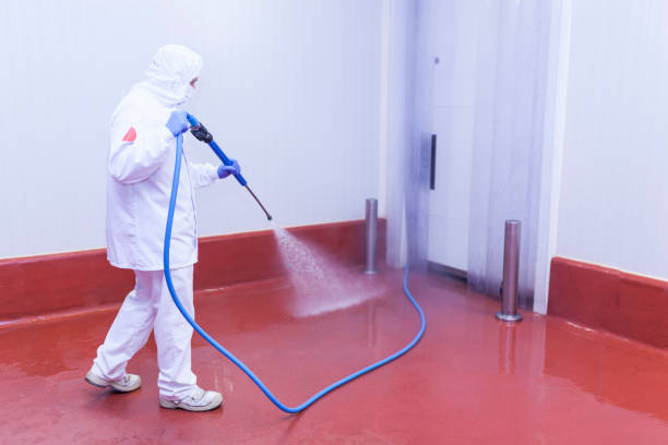 Best Solar Panel Cleaning  in Athens, IL