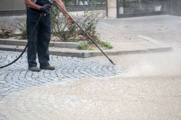 Best House Exterior Washing  in Athens, IL